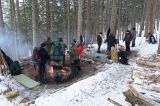 20170108-DSC_3050.jpg